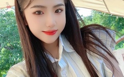 粉红色的火烈鸟下载